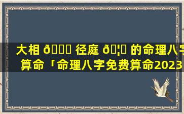 大相 🐋 径庭 🦁 的命理八字算命「命理八字免费算命2023年运势」